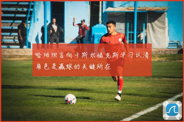 哈珀坦言向卡斯尔福克斯学习认清角色是赢球的关键所在